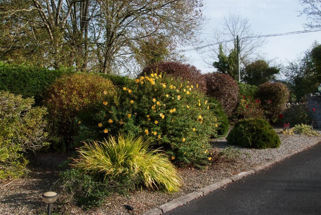 Innisfree B&B Bunratty Extérieur photo