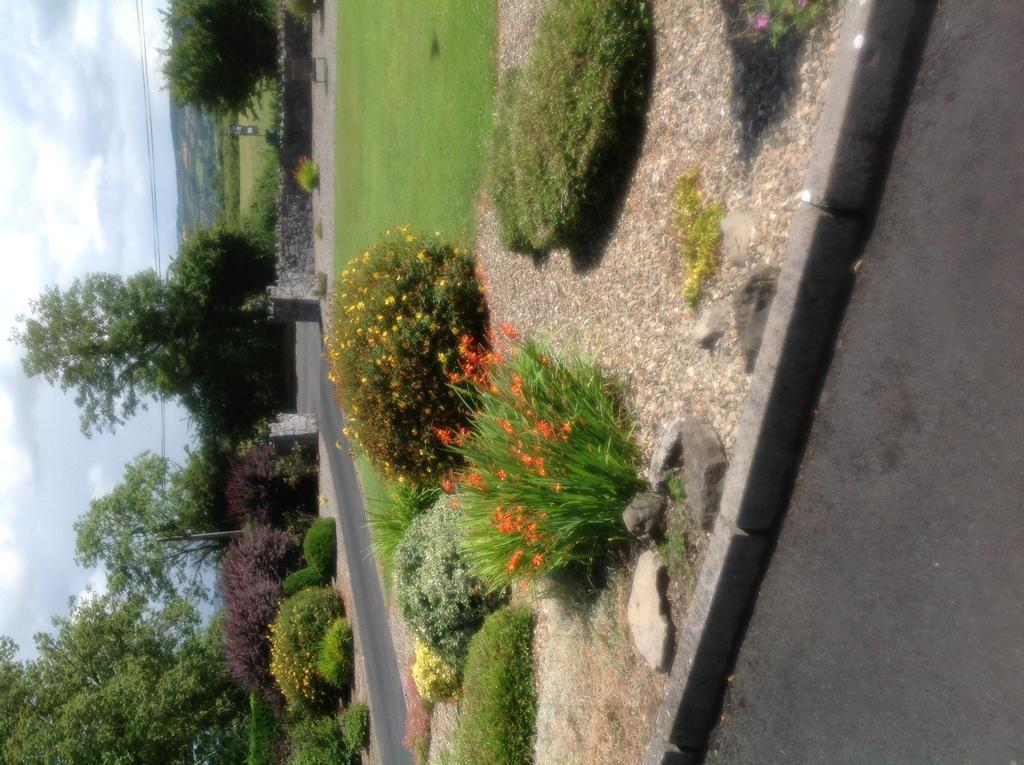 Innisfree B&B Bunratty Extérieur photo